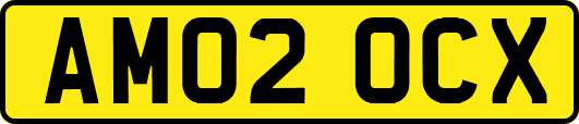 AM02OCX