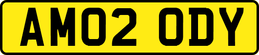 AM02ODY