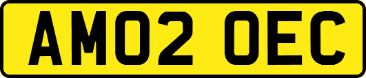 AM02OEC