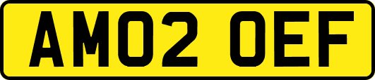 AM02OEF
