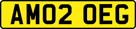 AM02OEG