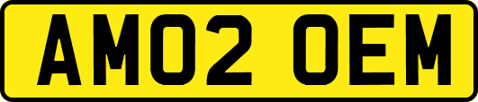 AM02OEM