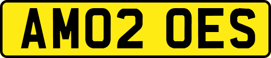 AM02OES