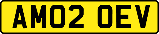 AM02OEV