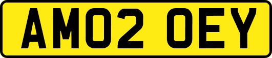 AM02OEY