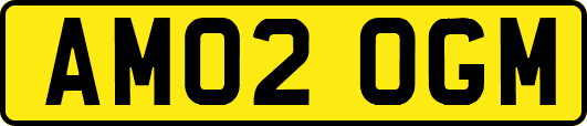AM02OGM