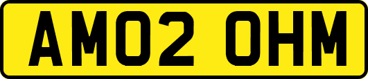 AM02OHM