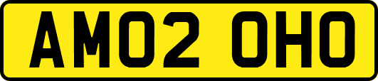 AM02OHO