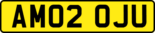 AM02OJU