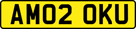AM02OKU