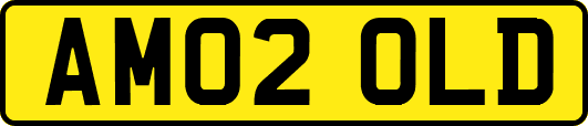 AM02OLD