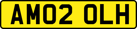 AM02OLH