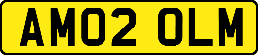 AM02OLM