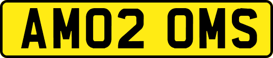 AM02OMS