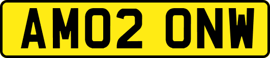 AM02ONW