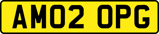AM02OPG