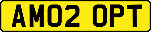 AM02OPT