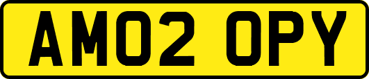 AM02OPY
