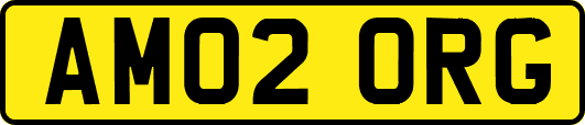 AM02ORG