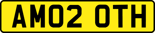 AM02OTH