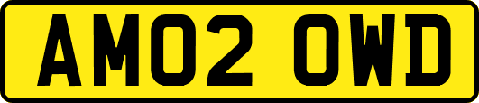 AM02OWD