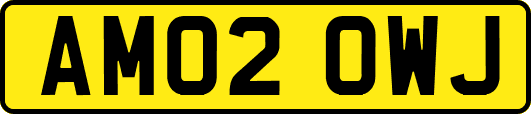 AM02OWJ