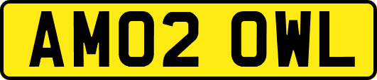 AM02OWL