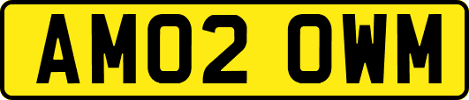 AM02OWM