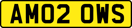 AM02OWS