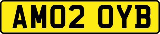 AM02OYB