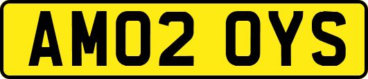 AM02OYS