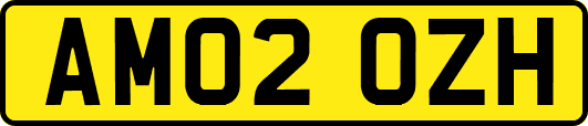 AM02OZH