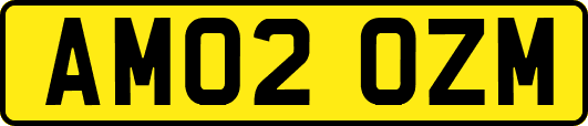 AM02OZM
