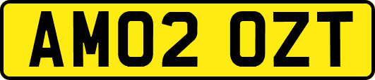 AM02OZT