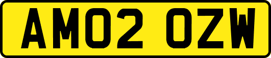 AM02OZW