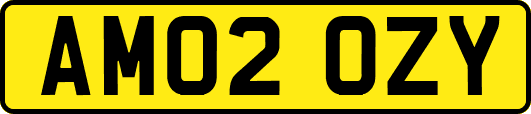 AM02OZY