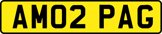 AM02PAG