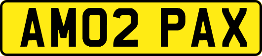 AM02PAX