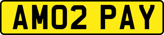 AM02PAY