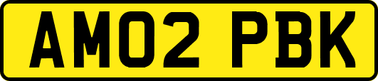 AM02PBK
