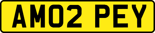 AM02PEY