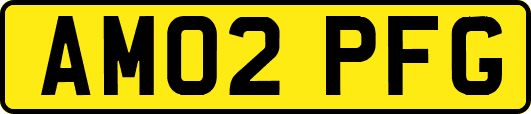 AM02PFG