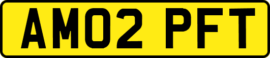 AM02PFT