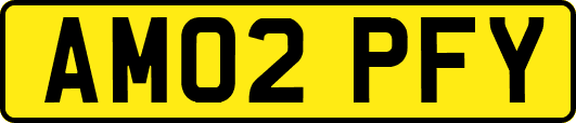 AM02PFY