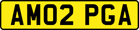 AM02PGA
