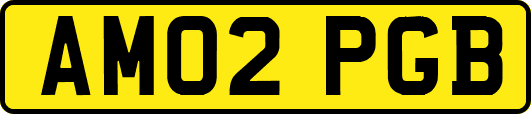 AM02PGB