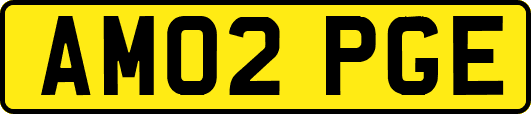 AM02PGE