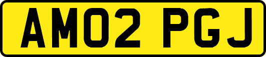 AM02PGJ