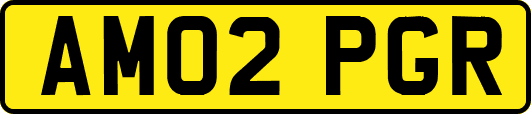 AM02PGR