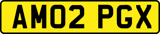 AM02PGX